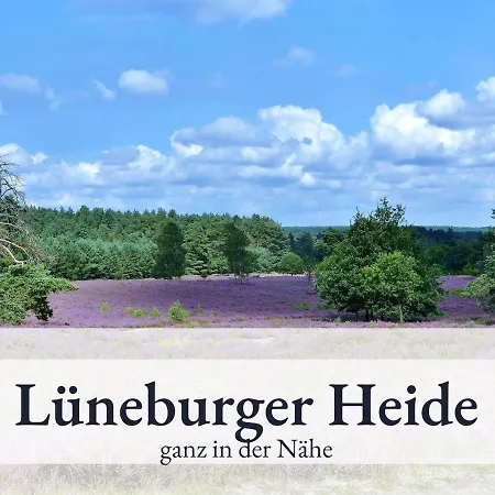 דירה Blumenvilla 8 Mit Sauna Und Garten שנברדינגן