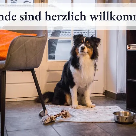 Blumenvilla 8 Mit Sauna Und Garten שנברדינגן