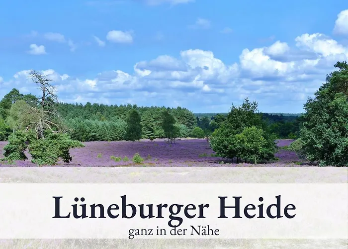 Apartament Blumenvilla 8 Mit Sauna Und Garten Schneverdingen